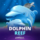Bocoran RTP Slot Playtech Dolphin Reef